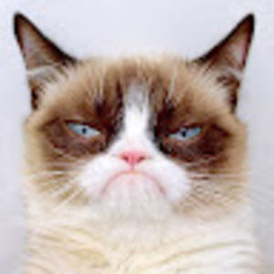 Meet your Posher, Hush